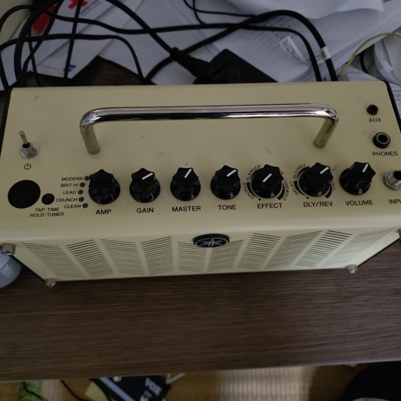 YAMAHA THR5の画像